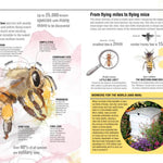 The Bee Book, by  Emma Tennant - Hardcover