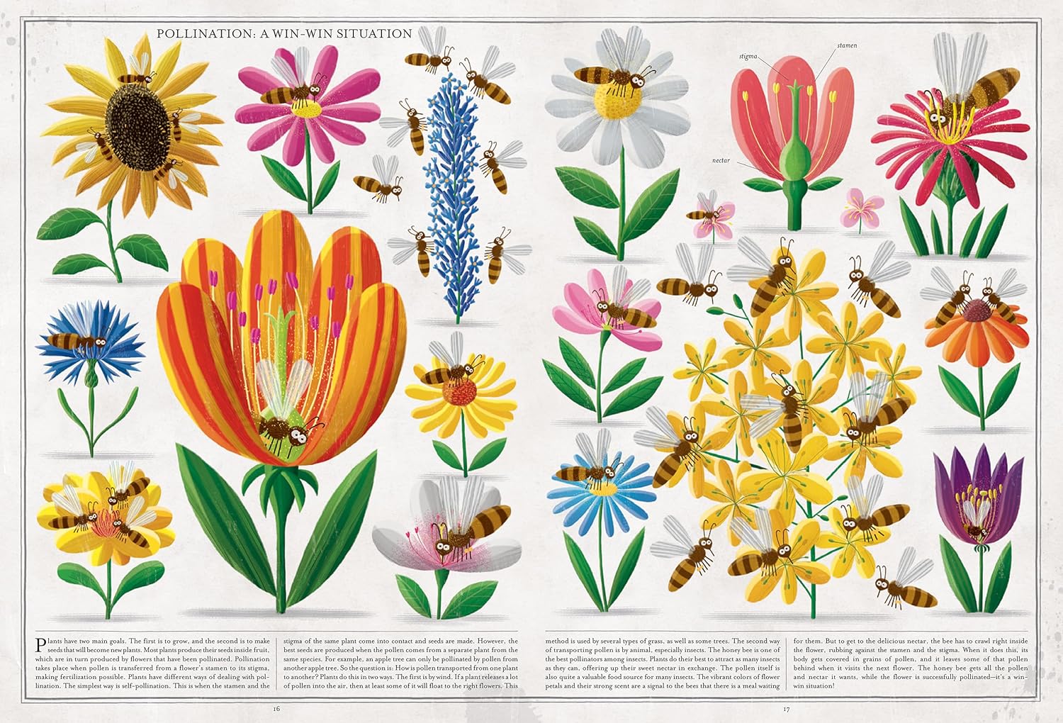 Bees: A Honeyed History, by Piotr Socha