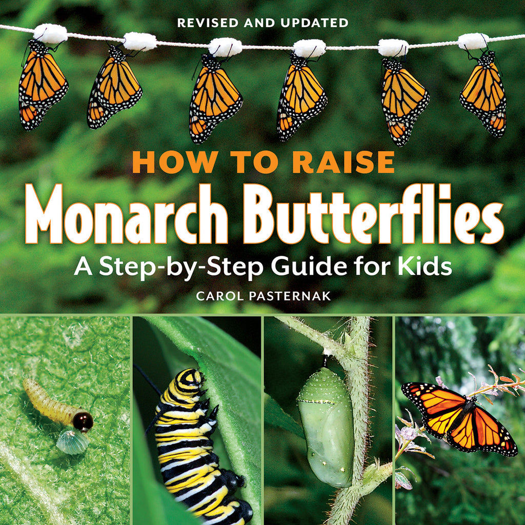 How to Raise Monarch Butterflies, by Carol Pasternak Hardcover
