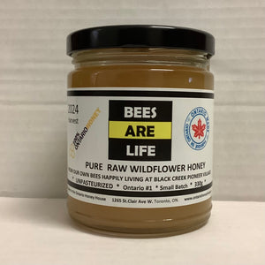 Bees Are Life RAW Honey - 330g, our bees at Black Creek Pioneer Village