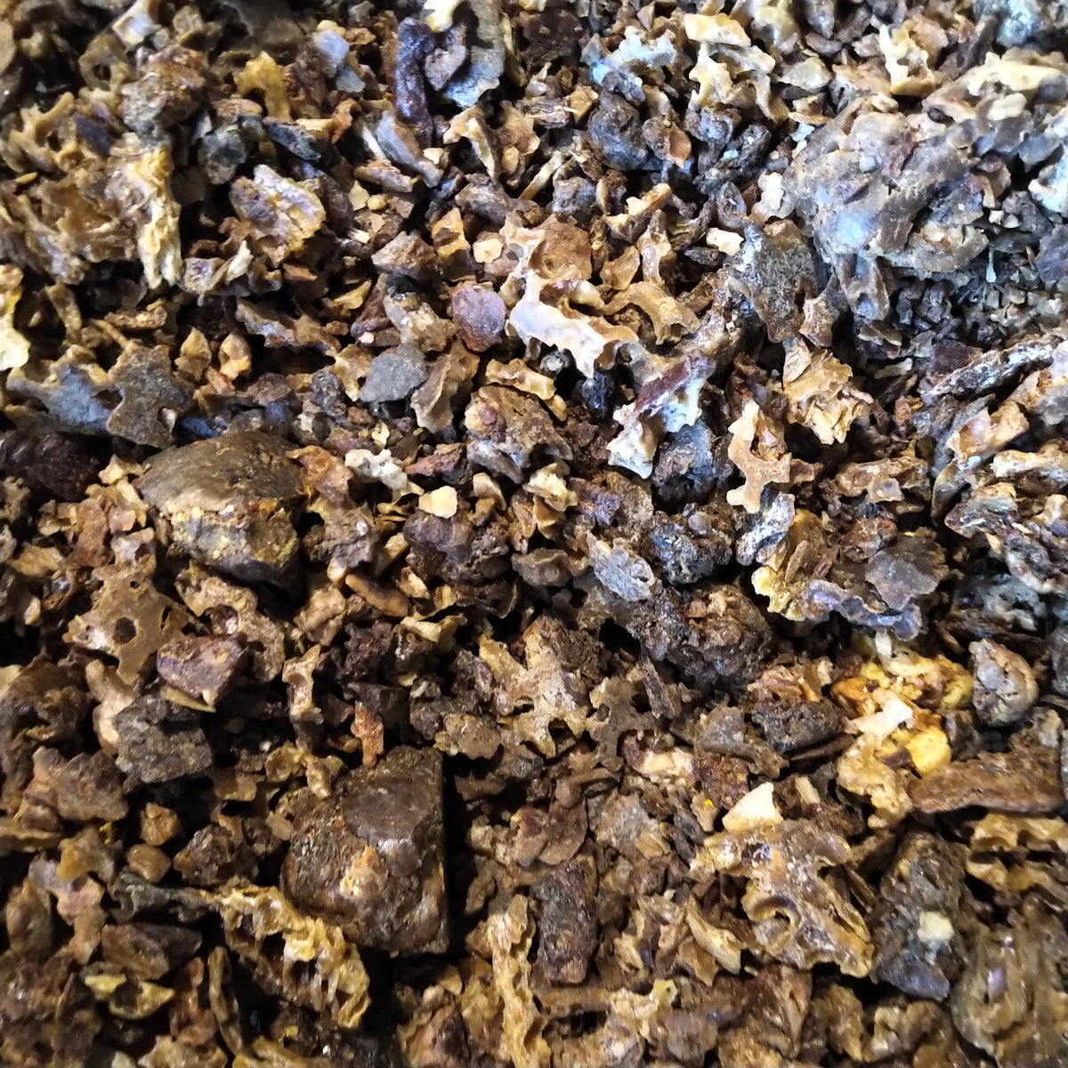 Bees Are Life RAW Propolis Chunks – Ontario Honey House