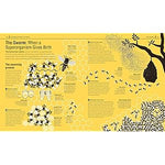 The Bee Book, for DK by Fergus Chadwick