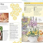 The Bee Book, for DK by Fergus Chadwick