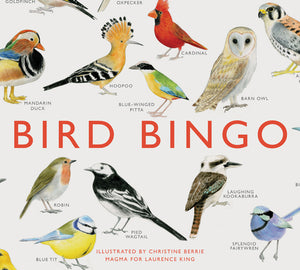 Bird Bingo, A Game for the whole family