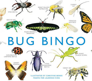 Bug Bingo, A Game for the whole family