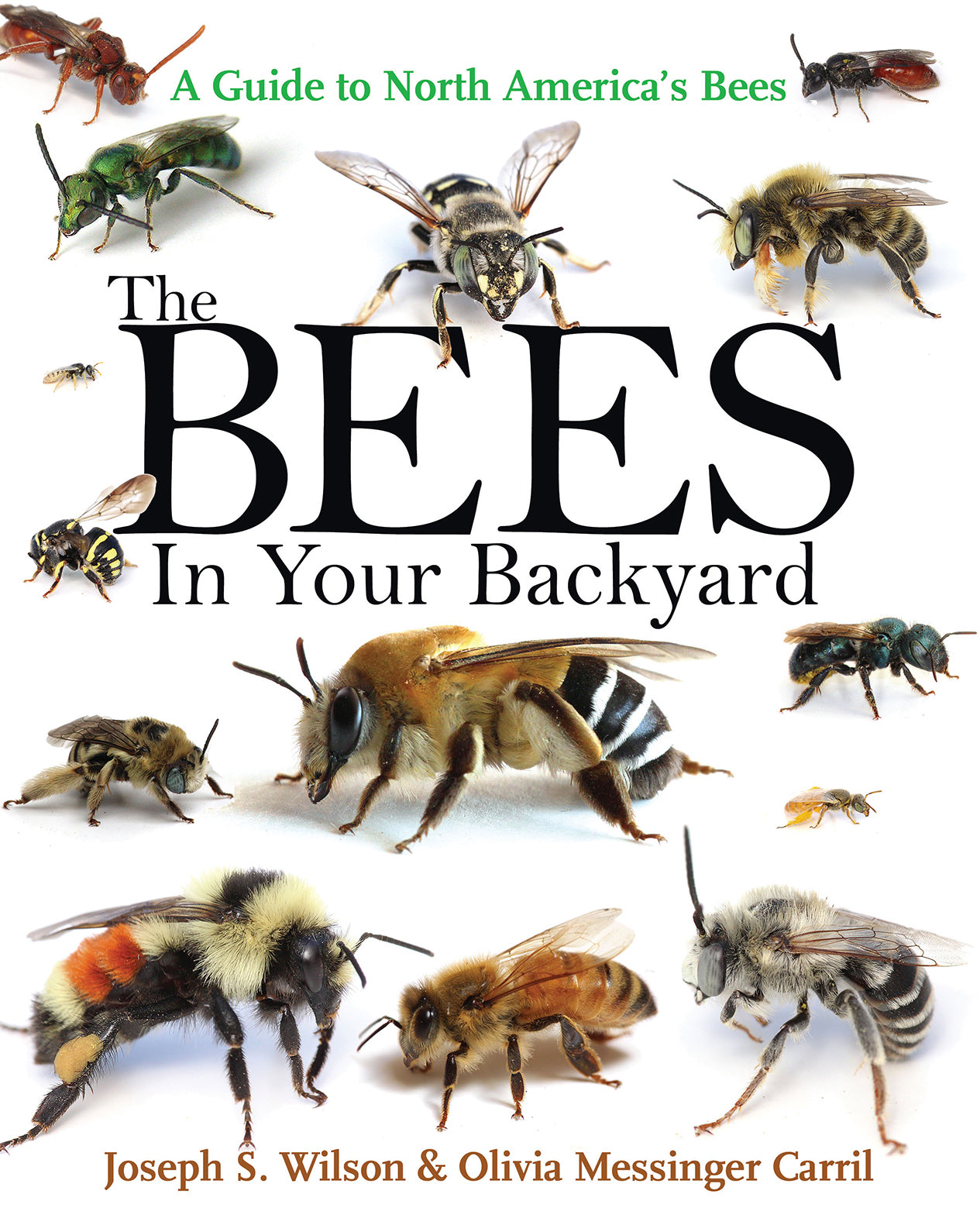 The Bees in Your Backyard: A Guide to North America's Bees, by Joseph S. Wilson & Olivia Messinger Carrill