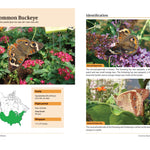 Raising Butterflies in the Garden, by Brenda Dziedzic