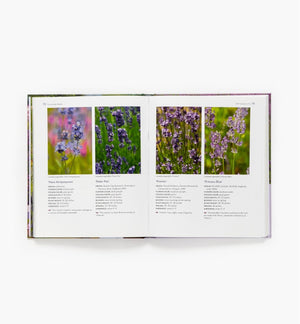 The Lavender Lovers Handbook, by Sarah Berringer Bader