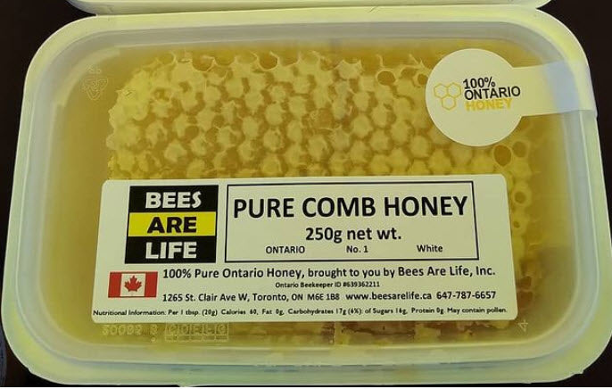 Honeycomb - Bees Are Life